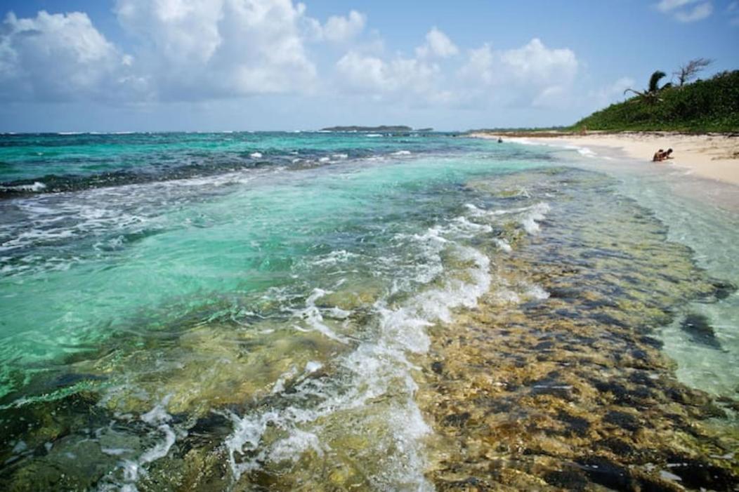 Bungalow Vanille Pacane Vue Mer avec Spa Privé Les Trois-Ilets Esterno foto